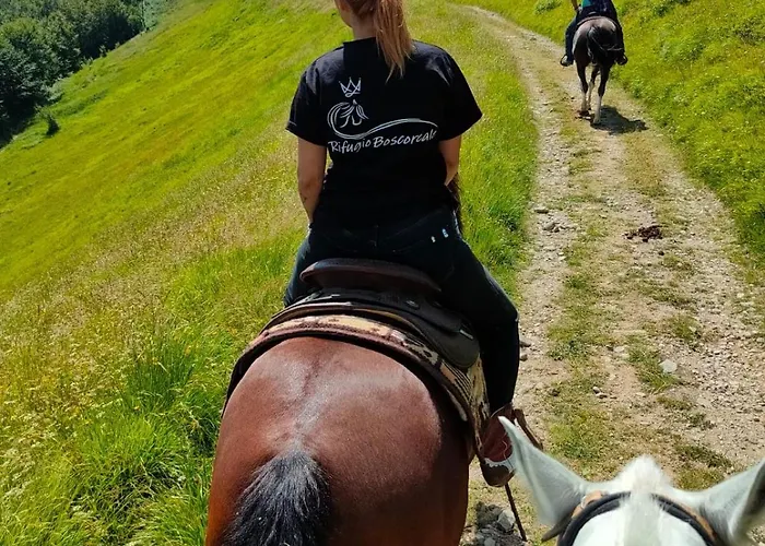 Gasthuis Giordani Boscoreale Piandelagotti